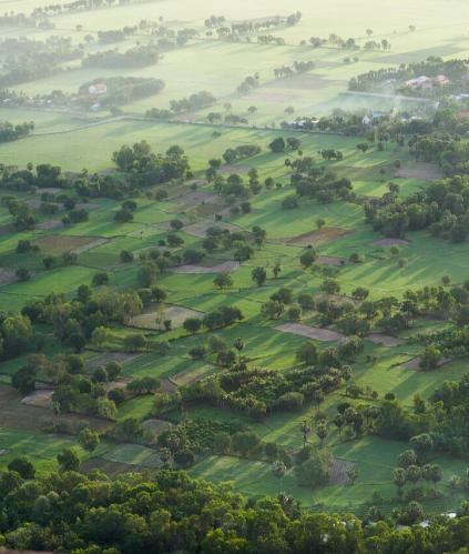 PAC 2025 Cerfrance val de Loire vous accompagne