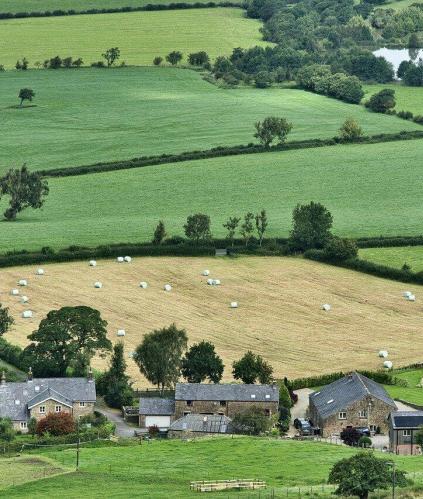 Champ et directive nitrate