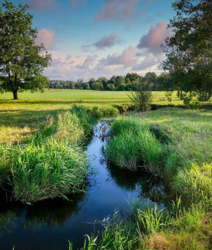 Cours d'eau et couverture permanente