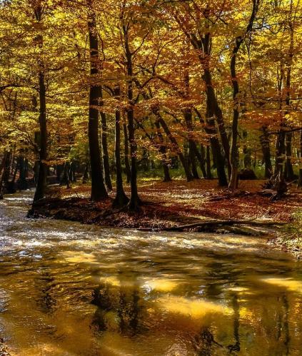 Gestion des Zones d'Actions Renforcées (ZAR)