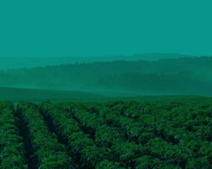 Expertise comptable et conseil de gestion pour les agriculteurs avec Cerfrance val de Loire