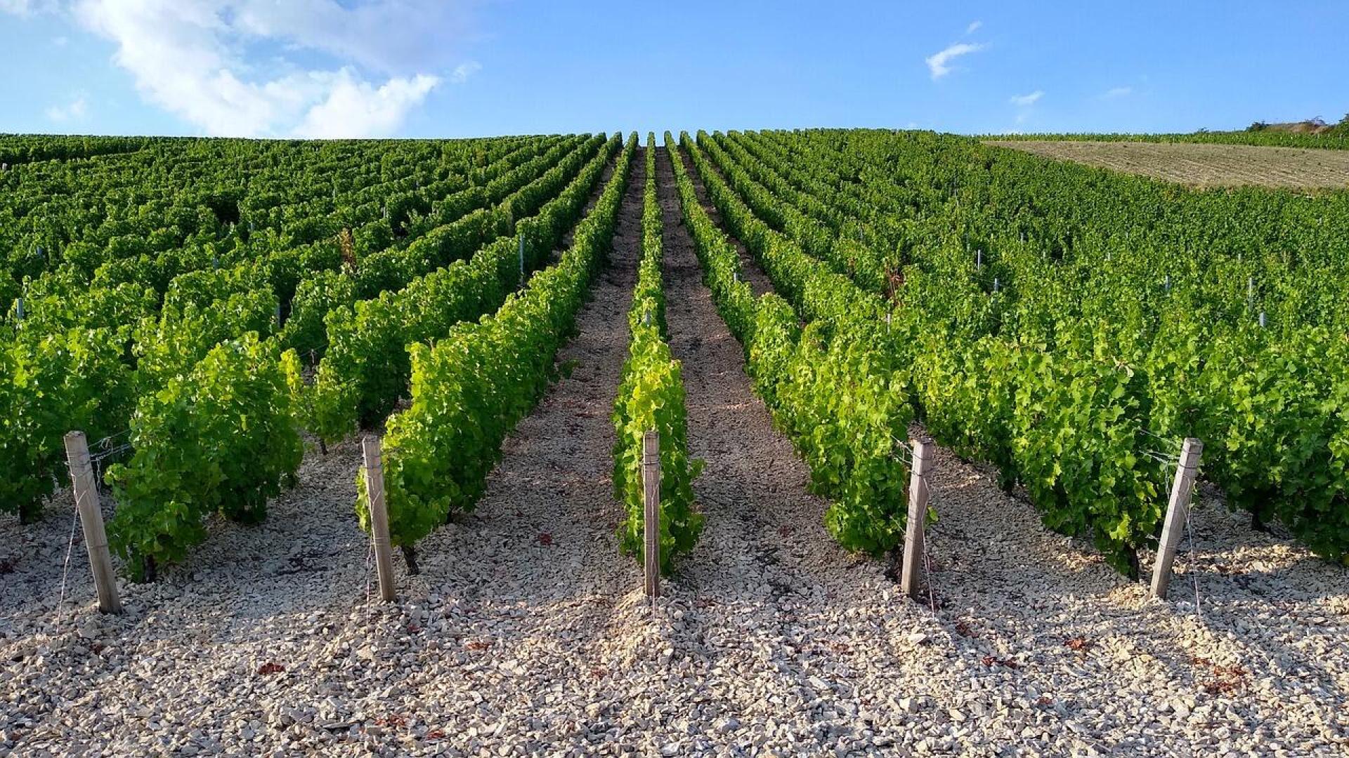 Cabinet expert comptable Benais | Cerfrance Val de Loire