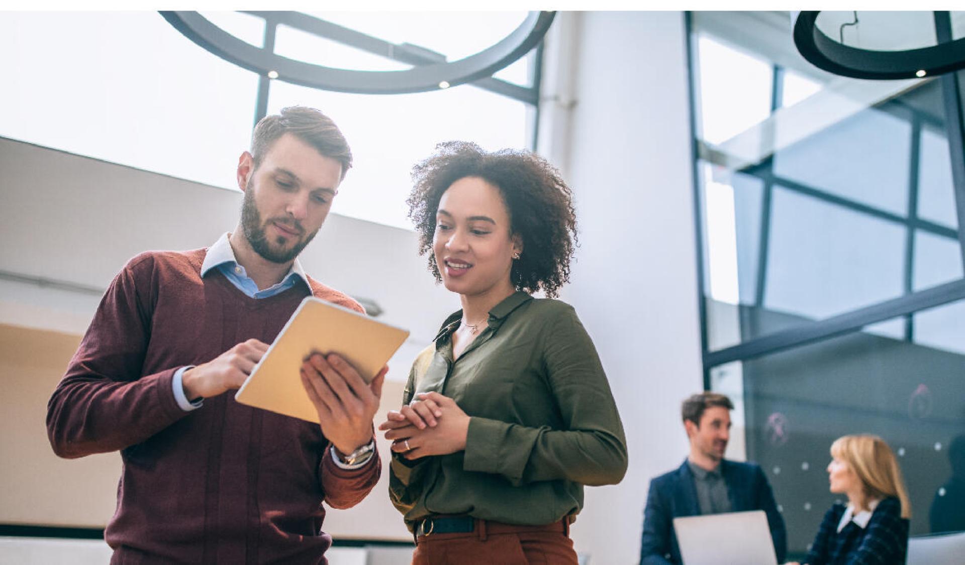 MyBees Cerfrance Val de Loire