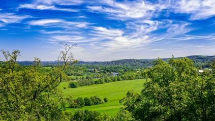 Image Forêt Carbone