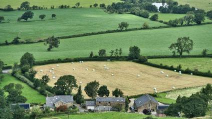 Champ et directive nitrate