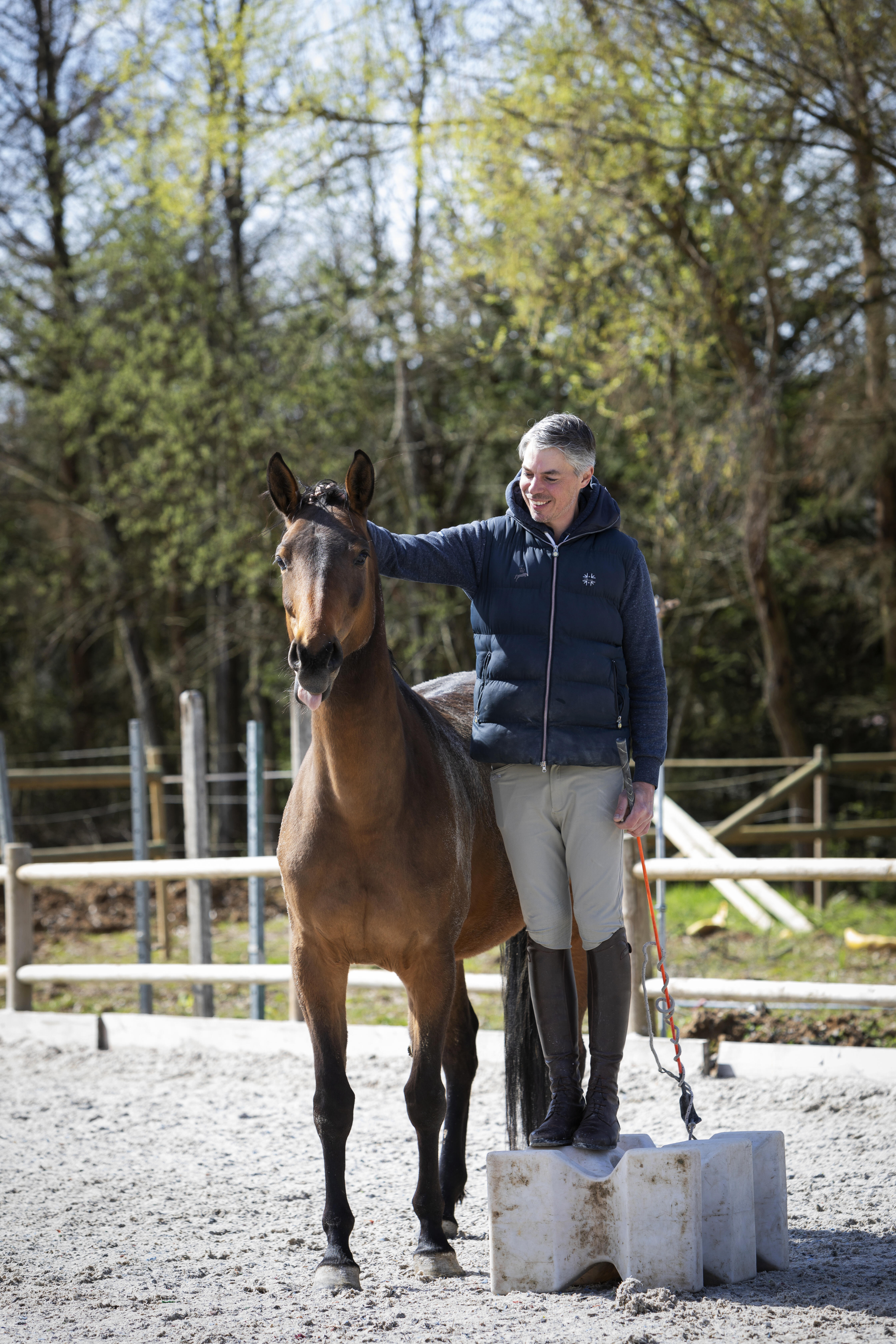 Métiers du cheval, comptable pour centre équestre et métier du cheval, votre expert-comptable à lamotte-beuvron cerfrance val de loire