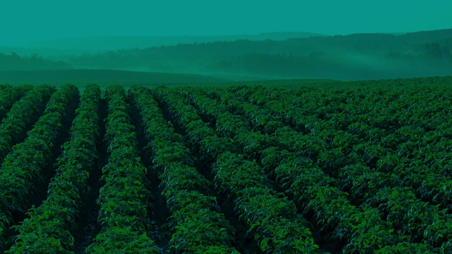 vignerons du 37 et 41 profitez d'un accompagnement comptable et  de gestion à 360°