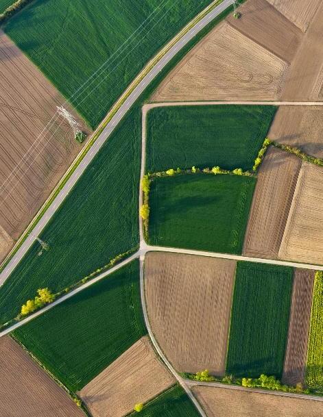 Vue du ciel de parcelle d'une exploitation