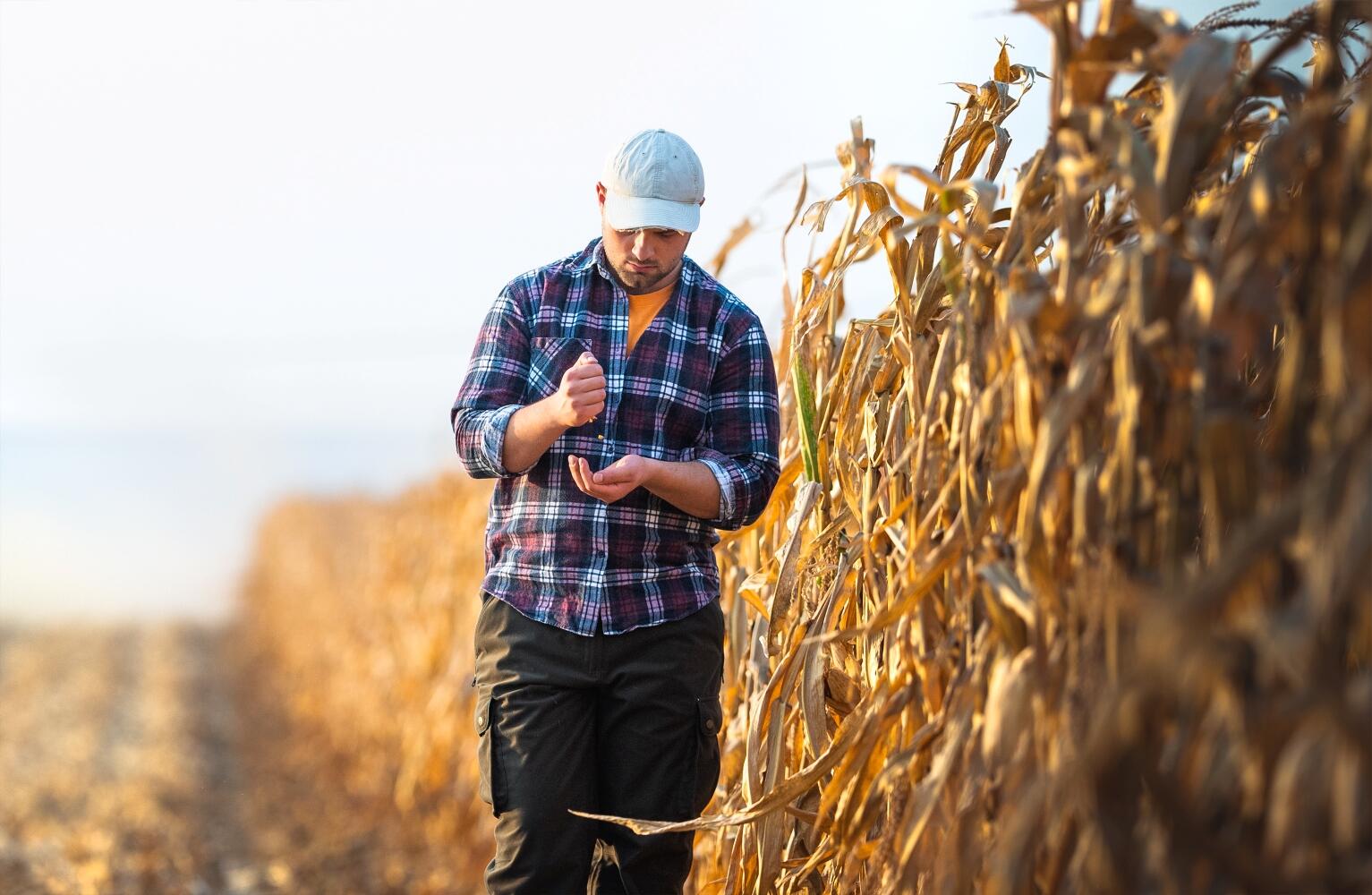 Agriculteur dans son champ